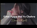 Slowed And Reverb Songs Kitna Pyara Hai Ye Chehra RAJIB 801