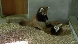 Source: YouTube | Via: SayOMG