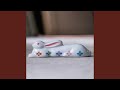 usagi