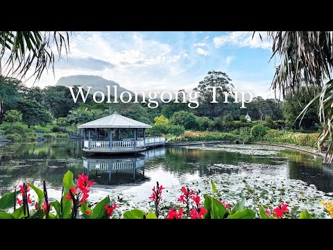 [4K] Wollongong Australia Trip