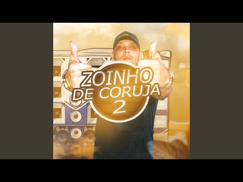 Zoinho de Coruja 2