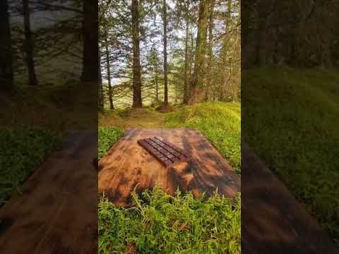 #huzoorji #hiten #nature #naturelovers #natural #popular #meditation #relaxing #tree