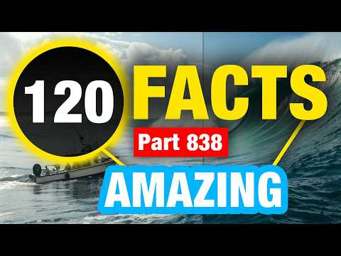 120 Random Amazing Weird Facts