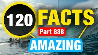 120 Random Amazing Weird Facts