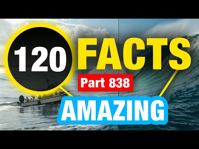 120 Random Amazing Weird Facts