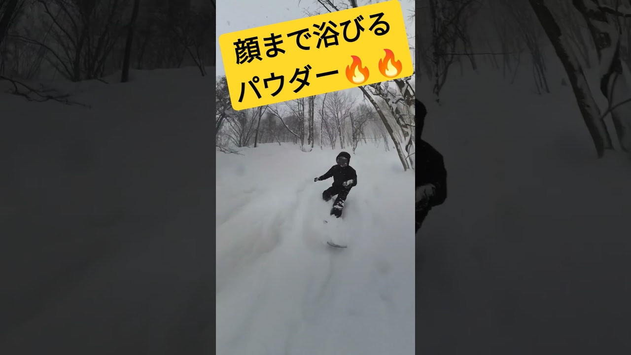 パウダーラン スノーボード 今年は雪が多くてツリーランが楽しい ドパウ #japow