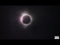 Elephants React To Total Solar Eclipse 2024