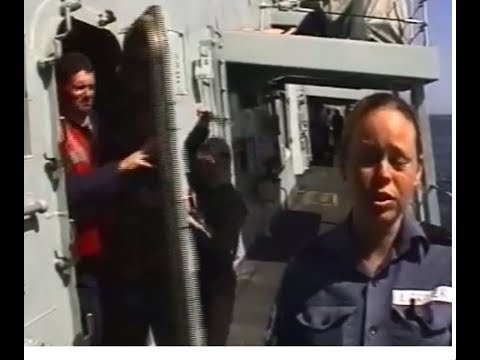 Rooney -Tunes Production  -  HMS Norfolk Wilmington 2000