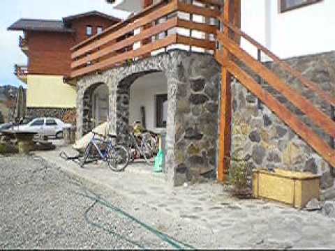 Paltinis Vila Stefana