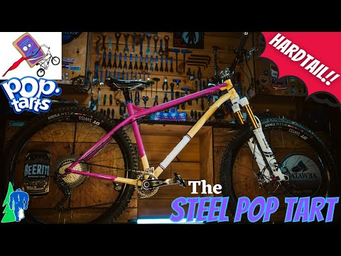 Squatch Bikes New Bike Day - The STEEL POP TART - Custom Painted HARDTAIL (NS Eccentric Cromo 29)