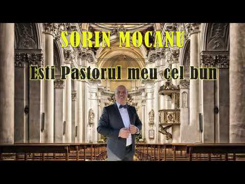 SORIN MOCANU  - EȘTI PĂSTORUL MEU CEL BUN  - 2021
