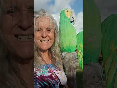 Sesc Guadalupe Sirinhaém Pernambuco