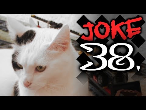 Matýsek - Jester Joke 38.