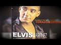 Elvis Martinez - Voy Amarte (Audio Oficial) álbum Musical Directo Al Corazon - 1999