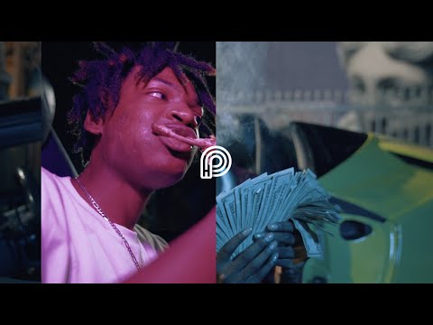 RexNendo - Like a Bird (Official Video)