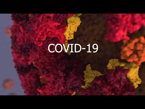 ¿Qué es el coronavirus? COVID-19 Origen y Sintomas