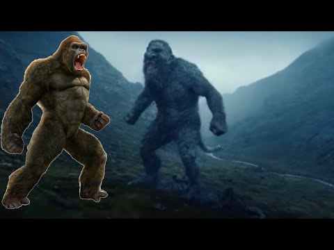 Kong vs troll