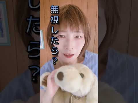 獣医師が解説！愛犬のカーミングシグナルとは？