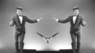 Tse tse Fly Dance ( Tse tse Fly by Wall of Voodoo )