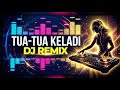 Tua Tua Keladi DJ Remix Versi Paling Goyang 2025