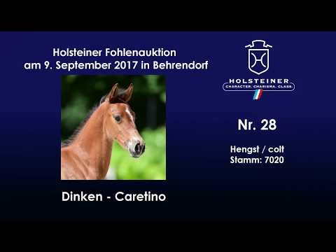 Nr. 28 v. Dinken - Caretino