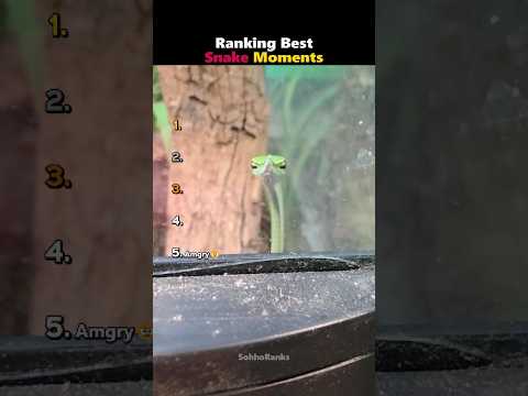 Ranking best snake moments 😭🗿 Part 49
