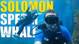 Scuba Diving Solomon Quarry & SPERM WHALES - Ep 121