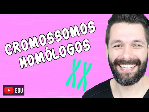 O QUE SÃO CROMOSSOMOS HOMÓLOGOS ? | Biologia com Samuel Cunha