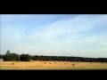 CURLY STRINGS Kauges külas AareVideo 2014 ...