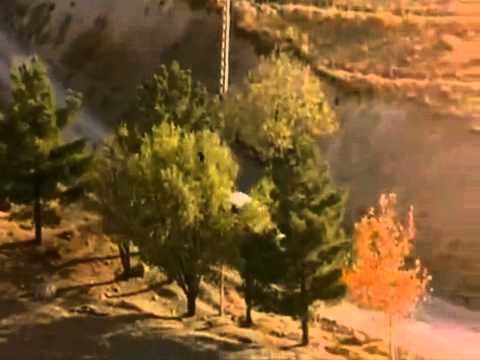 download lagu mp3 mp4 Il Sapore Della Ciliegia, download lagu Il Sapore Della Ciliegia gratis, unduh video klip Il Sapore Della Ciliegia