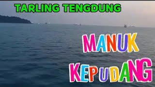 Download lagu Manuk Kepudang Tarling Tengdung***** mp3 Download lagu Manuk Kepudang Tarling Tengdung***** mp3