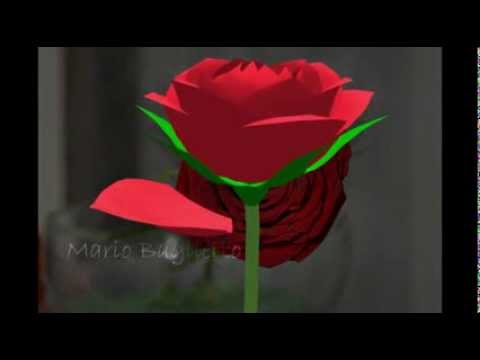 Videoclip de Amiga (En directo Las Ventas 07) — Miguel Bosé