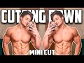 CUTTING DOWN!! | THE STARTING POINT/PHYSIQUE | 1st Place Meet Recap