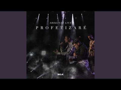 Profetizaré (Shekinah Live)