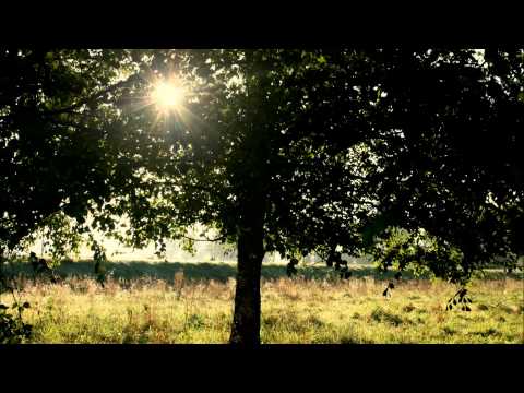 Lithuanian Folk - Sodai Sodai Leliumoj (Lounge Mix)