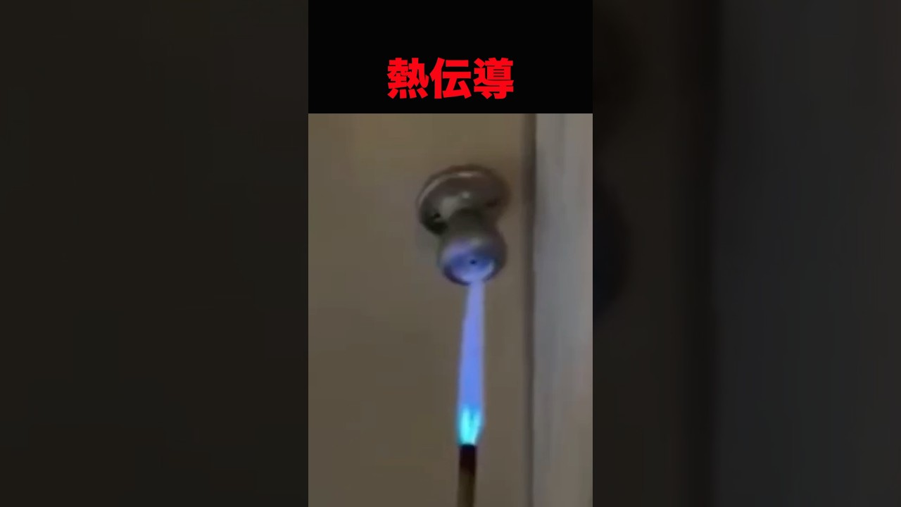 笑ってはいけないドアノブ激アツドッキリ #shorts