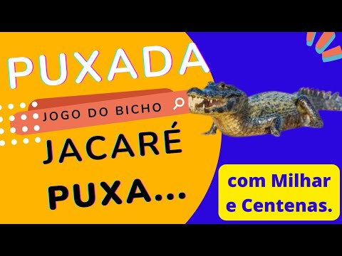 PUXADA DO JACARÉ   Com Milhar e Centenas #puxadadojacare #puxadajogodobicho2023 #puxadajb2023