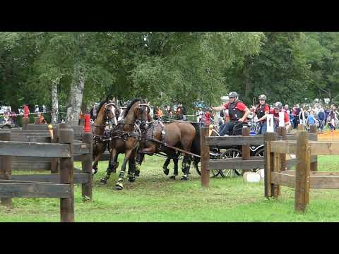 Sandmann, Christoph 1, GER, FEI EU CH H4, CHI Donaueschingen, Marathon Ob 6, 17 08 2019
