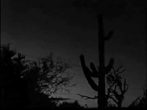 Willy Vlautin_Northline