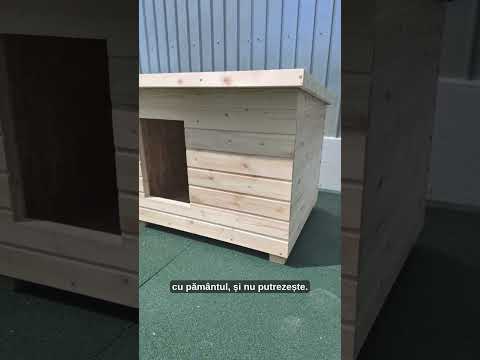 Prezentare Cusca Caine Izolata DLNI2 MxS