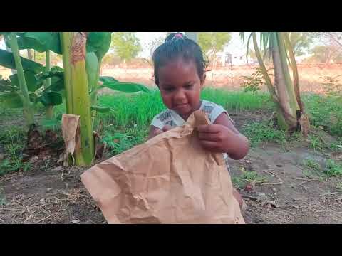 Cadbury Chocobakes Choco Chip Cookies unboxing