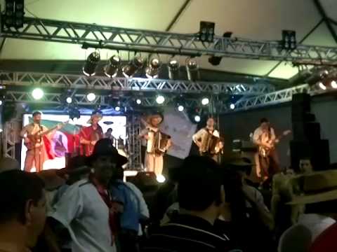 Eu Sou Bagual - João Luiz Corrêa & Campeirismo