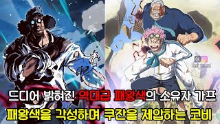[원피스 정보 및 분석] 드디어 밝혀진 역대급 패왕색의 소유자 가프패왕색을 각성하며 쿠잔을 제압하는 코비