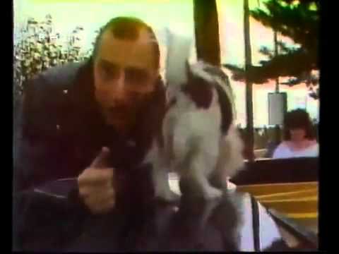 YouTube - Sigla Sanremo 1982 - Pippo Franco Che Fico