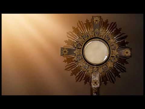 Czym się Panu odpłacę (P. Bębenek)