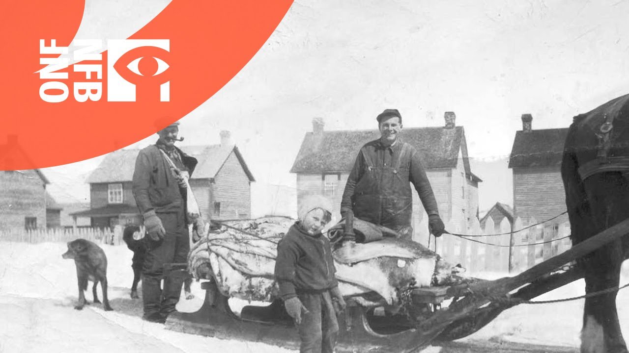 My Ancestors were Rogues and Murderers