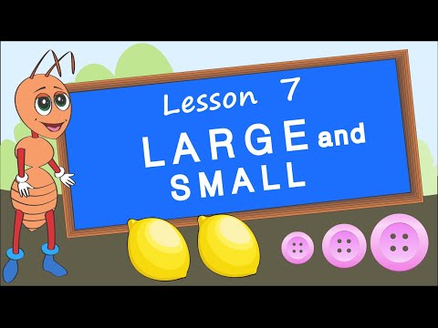 Comparison. Lesson 7. Large and small, similar and different. Educational video for children.