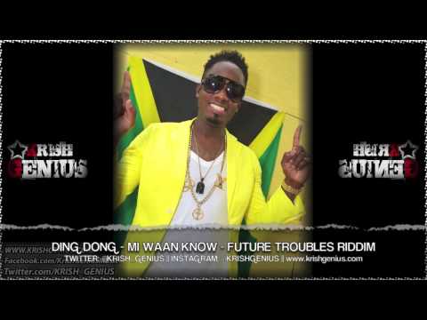 Ding Dong - Mi Waan Know [Future Troubles Riddim] October 2013