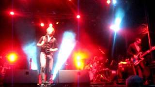 Josh Ritter - The Remnant (Live In The Iveagh Gardens)