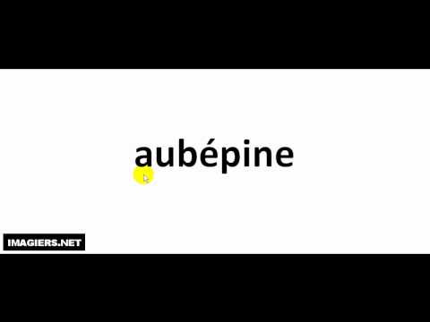 How to pronounce in French # aubépine